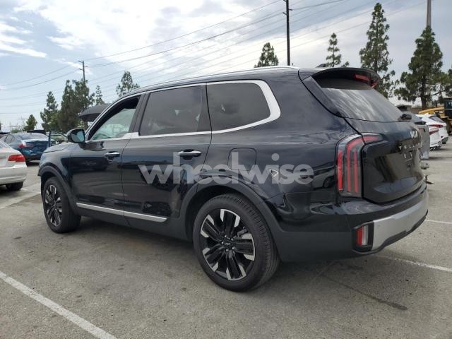 Photo 12 of 2024 KIA TELLURIDE SX (VIN 5XYP54GC4RG467811)