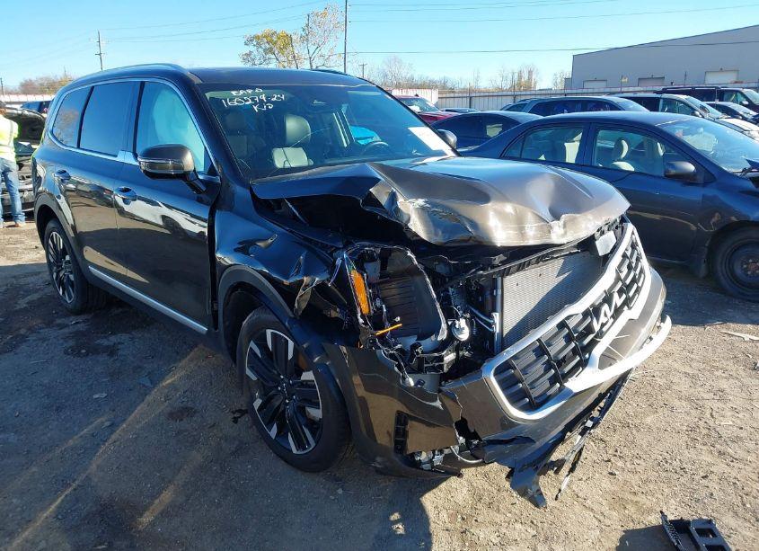 2024 Kia Telluride SX (VIN 5XYP54GC8RG510594) main photo