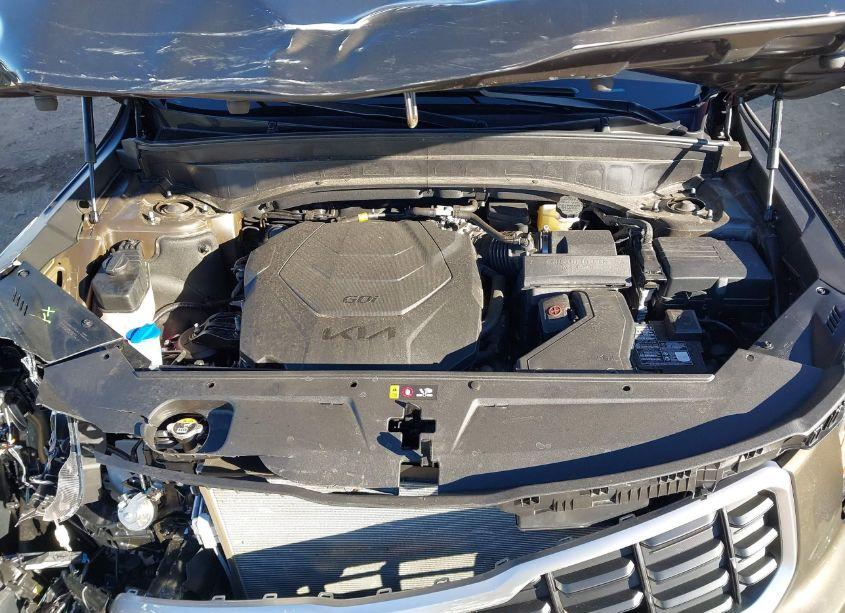 Photo 10 of 2024 Kia Telluride SX (VIN 5XYP54GC8RG510594)