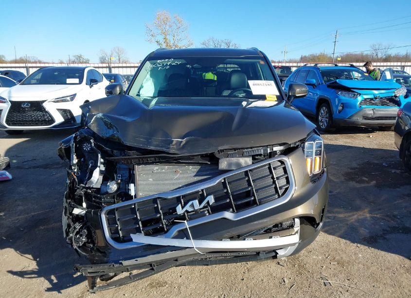 Photo 12 of 2024 Kia Telluride SX (VIN 5XYP54GC8RG510594)