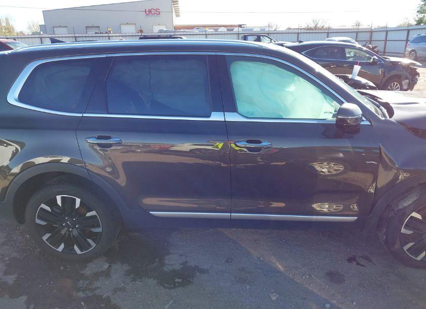 Photo 13 of 2024 Kia Telluride SX (VIN 5XYP54GC8RG510594)