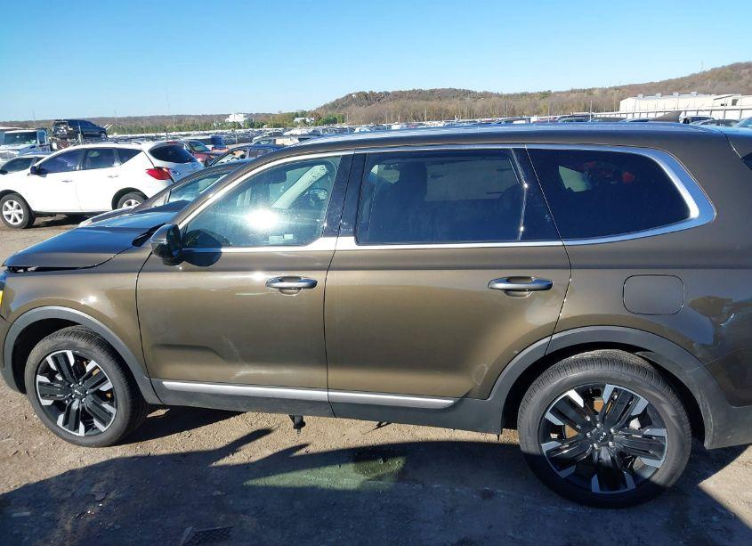 Photo 14 of 2024 Kia Telluride SX (VIN 5XYP54GC8RG510594)