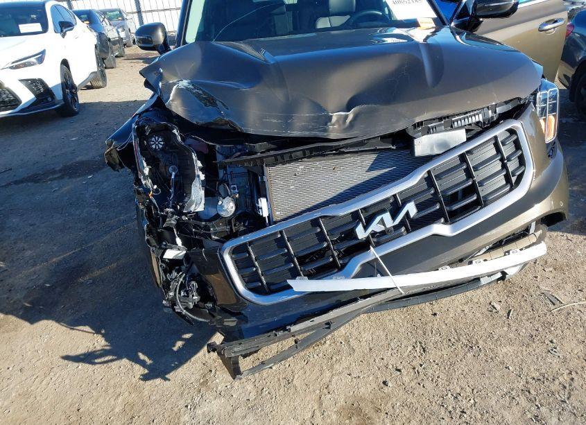 Photo 6 of 2024 Kia Telluride SX (VIN 5XYP54GC8RG510594)
