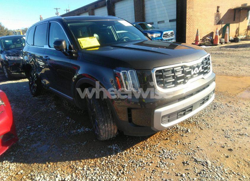 2024 Kia Telluride SX (VIN 5XYP54GC9RG412223) main photo