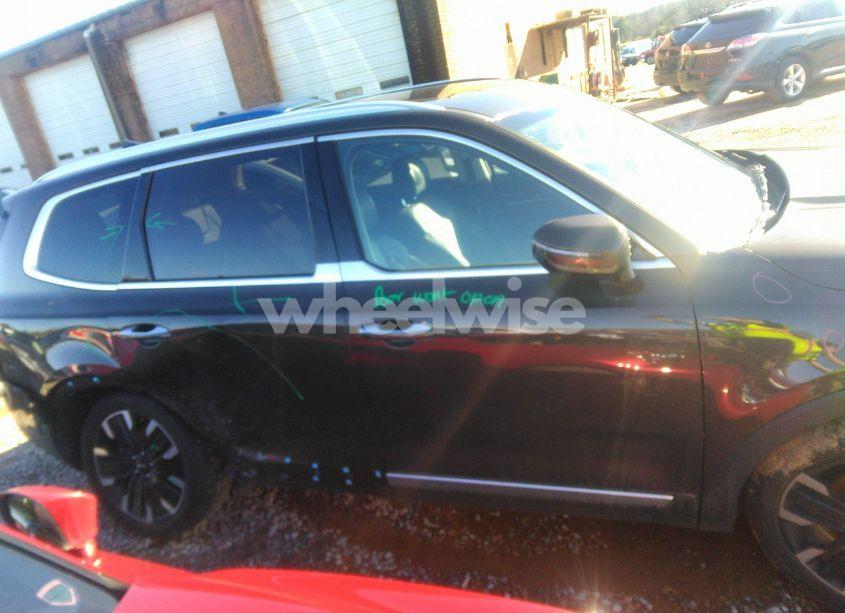 Photo 14 of 2024 Kia Telluride SX (VIN 5XYP54GC9RG412223)