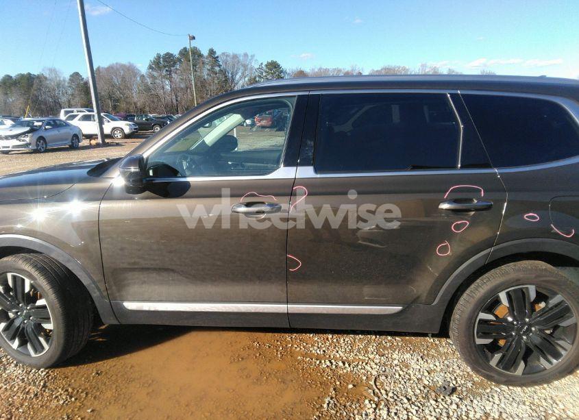 Photo 15 of 2024 Kia Telluride SX (VIN 5XYP54GC9RG412223)