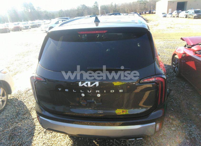 Photo 17 of 2024 Kia Telluride SX (VIN 5XYP54GC9RG412223)