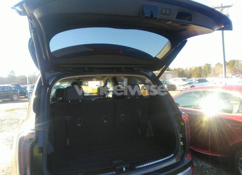 Photo 18 of 2024 Kia Telluride SX (VIN 5XYP54GC9RG412223)