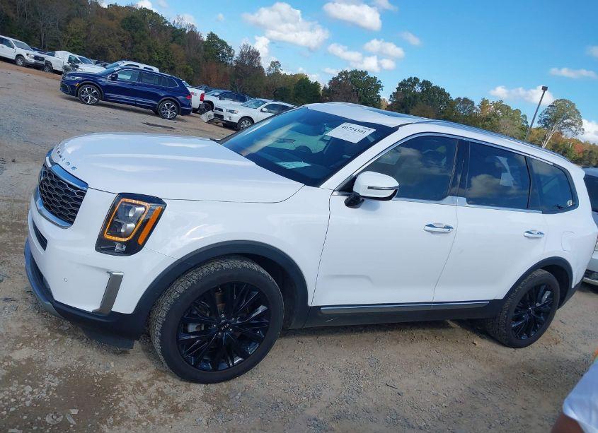 Photo 14 of 2021 Kia Telluride SX (VIN 5XYP54HC0MG174365)