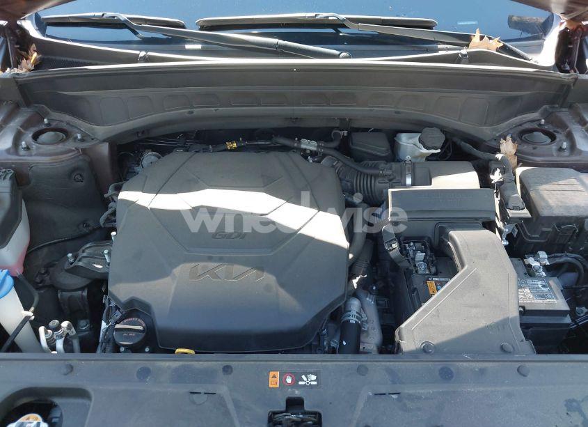 Photo 10 of 2022 Kia Telluride SX (VIN 5XYP54HC1NG301044)