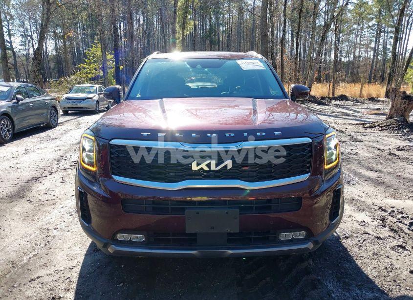 Photo 12 of 2022 Kia Telluride SX (VIN 5XYP54HC1NG301044)
