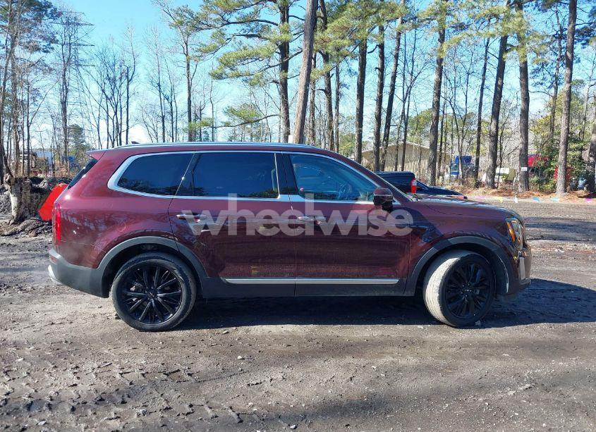 Photo 13 of 2022 Kia Telluride SX (VIN 5XYP54HC1NG301044)