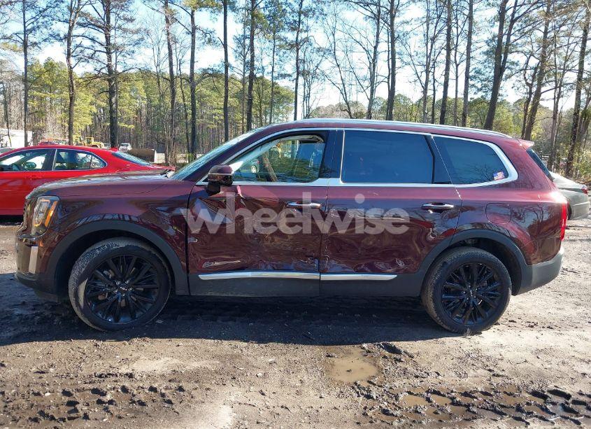 Photo 14 of 2022 Kia Telluride SX (VIN 5XYP54HC1NG301044)