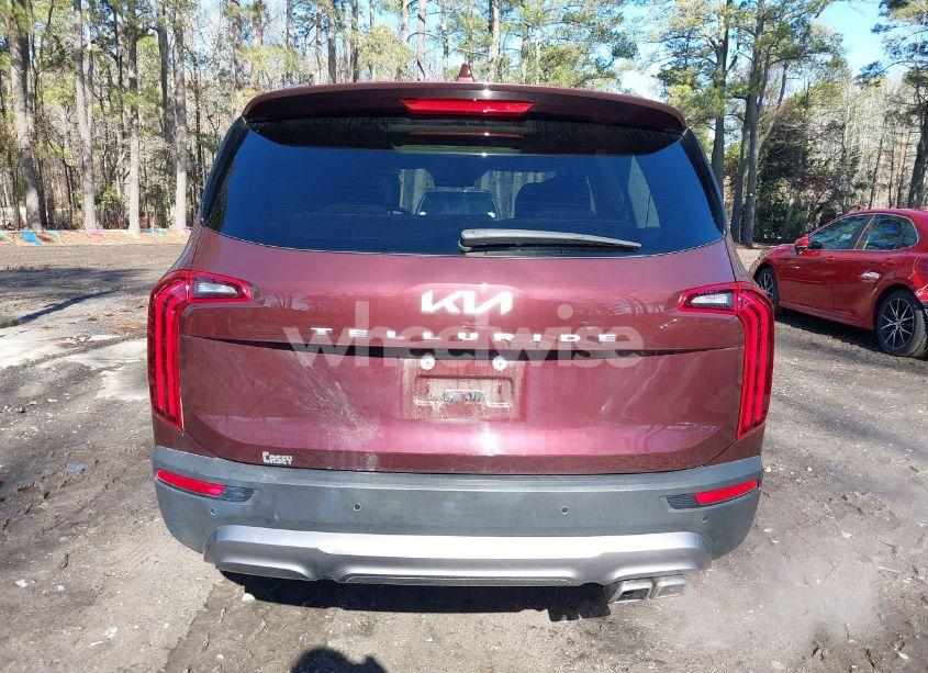 Photo 16 of 2022 Kia Telluride SX (VIN 5XYP54HC1NG301044)