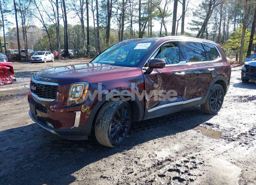 Photo 2 of 2022 Kia Telluride SX (VIN 5XYP54HC1NG301044)