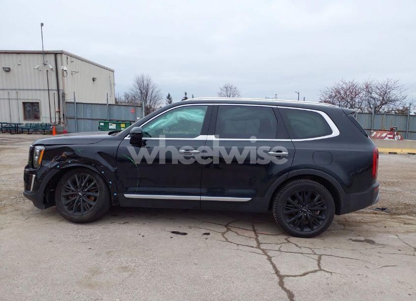 Photo 14 of 2022 Kia Telluride SX (VIN 5XYP54HC1NG309693)