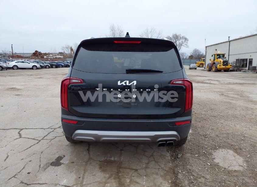 Photo 16 of 2022 Kia Telluride SX (VIN 5XYP54HC1NG309693)