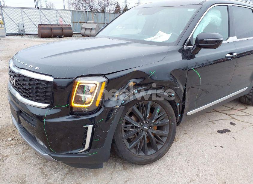 Photo 6 of 2022 Kia Telluride SX (VIN 5XYP54HC1NG309693)