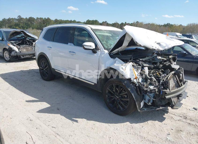 2022 Kia Telluride SX (VIN 5XYP54HC2NG218464) main photo