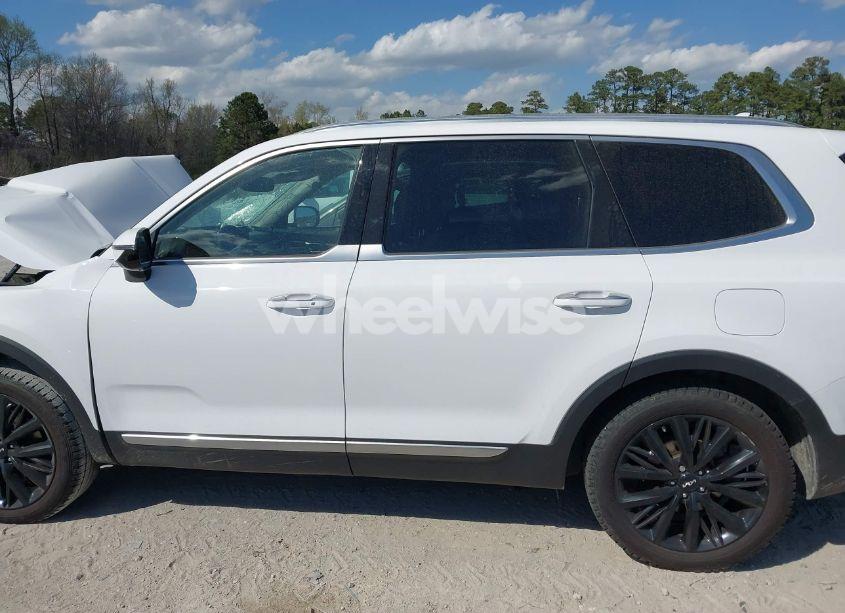 Photo 14 of 2022 Kia Telluride SX (VIN 5XYP54HC2NG218464)