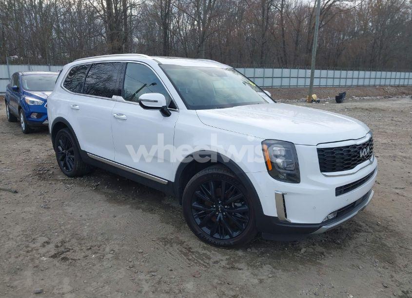 2022 Kia Telluride SX (VIN 5XYP54HC2NG257653) main photo