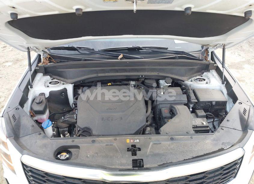 Photo 10 of 2022 Kia Telluride SX (VIN 5XYP54HC2NG257653)