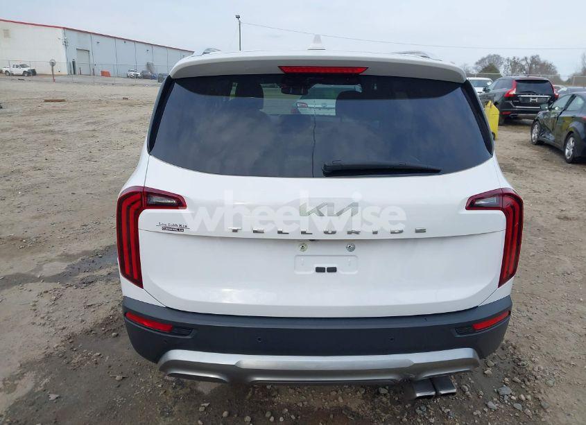 Photo 16 of 2022 Kia Telluride SX (VIN 5XYP54HC2NG257653)