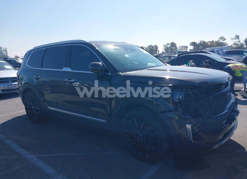 Photo 13 of 2022 Kia Telluride SX (VIN 5XYP54HC5NG249742)