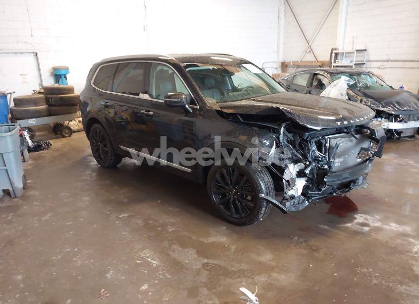 2022 Kia Telluride SX (VIN 5XYP54HC5NG264239) main photo