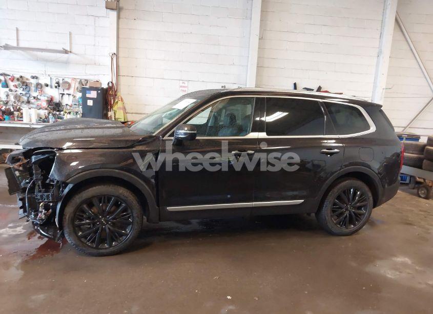 Photo 14 of 2022 Kia Telluride SX (VIN 5XYP54HC5NG264239)
