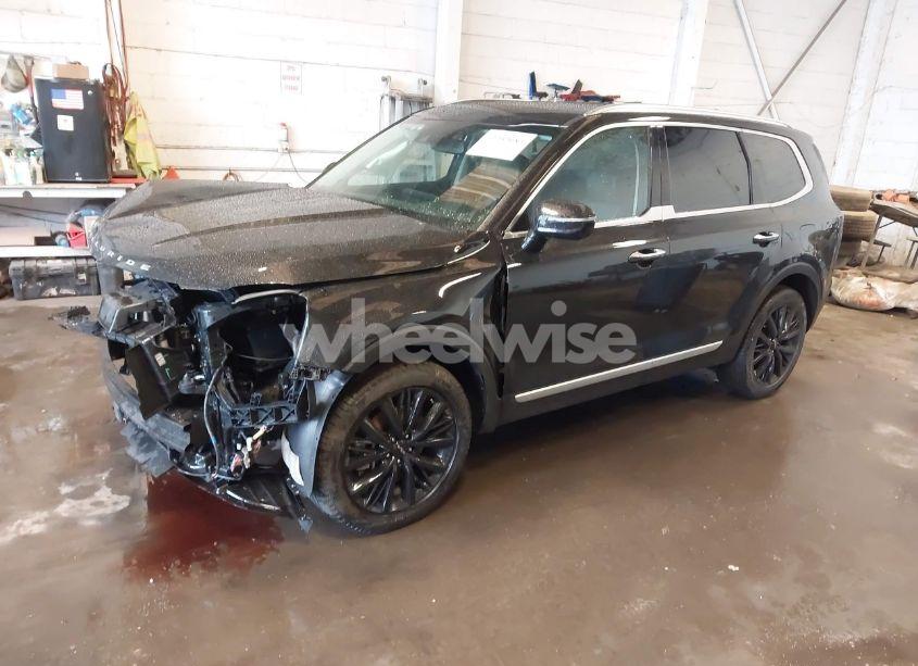 Photo 2 of 2022 Kia Telluride SX (VIN 5XYP54HC5NG264239)