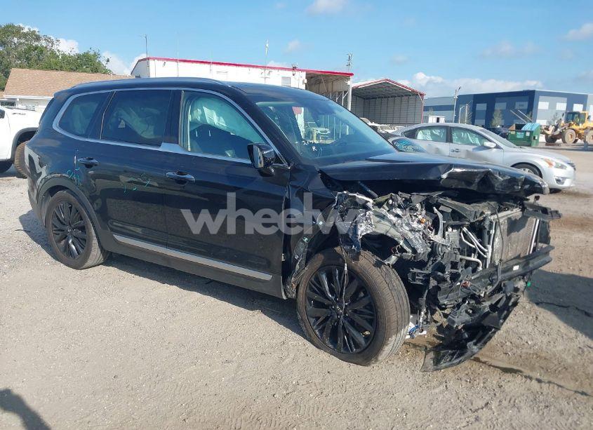 2020 Kia Telluride SX (VIN 5XYP54HC6LG045884) main photo