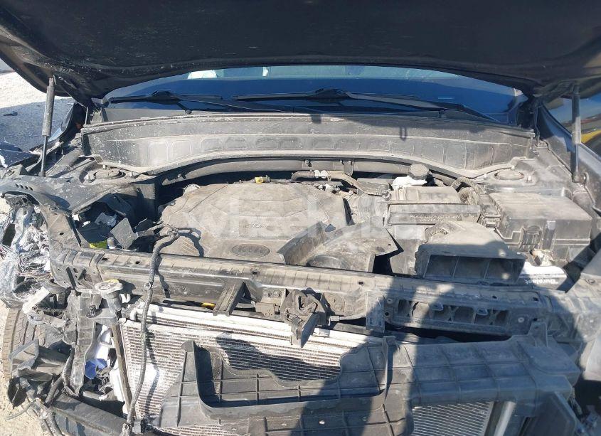 Photo 10 of 2020 Kia Telluride SX (VIN 5XYP54HC6LG045884)