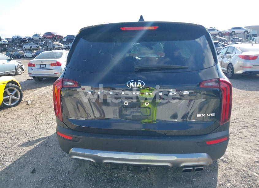 Photo 17 of 2020 Kia Telluride SX (VIN 5XYP54HC6LG045884)