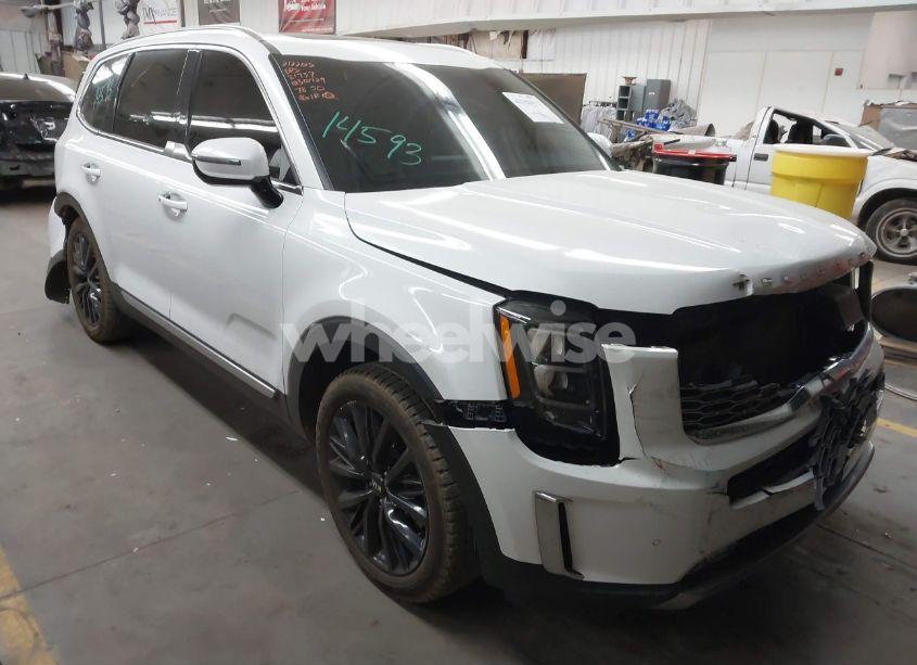 2020 Kia Telluride SX (VIN 5XYP54HC7LG030729) main photo
