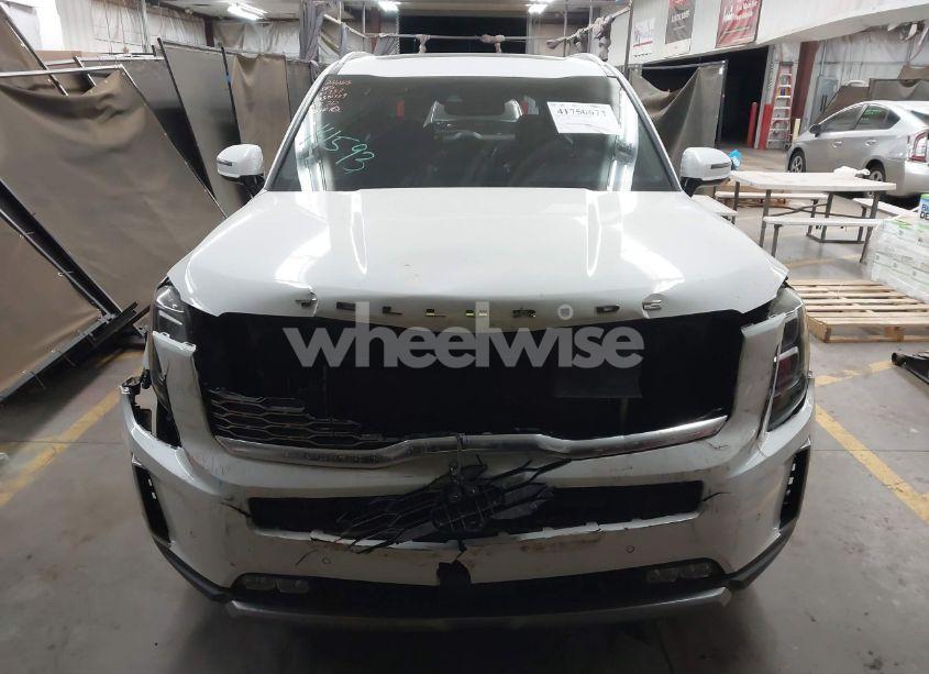 Photo 12 of 2020 Kia Telluride SX (VIN 5XYP54HC7LG030729)