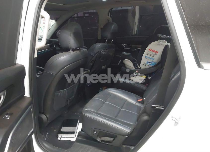 Photo 8 of 2020 Kia Telluride SX (VIN 5XYP54HC7LG030729)