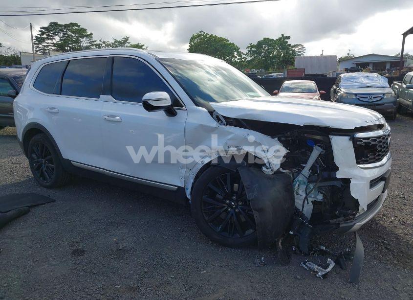 2020 Kia Telluride SX (VIN 5XYP54HC8LG062508) main photo