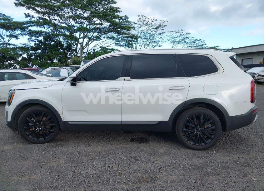 Photo 15 of 2020 Kia Telluride SX (VIN 5XYP54HC8LG062508)