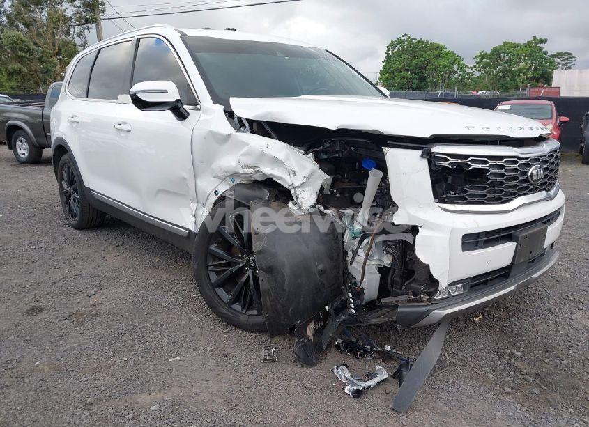 Photo 6 of 2020 Kia Telluride SX (VIN 5XYP54HC8LG062508)