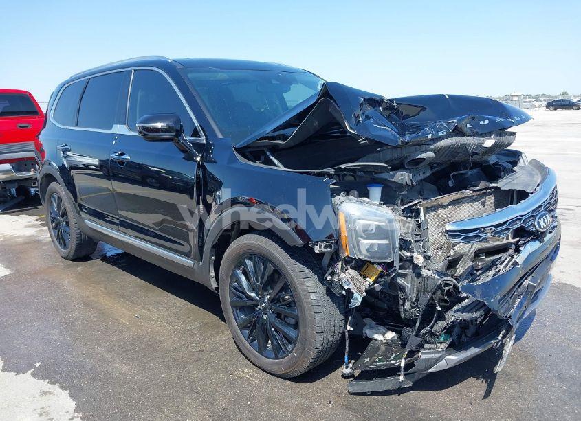 2020 Kia Telluride SX (VIN 5XYP54HC8LG075209) main photo