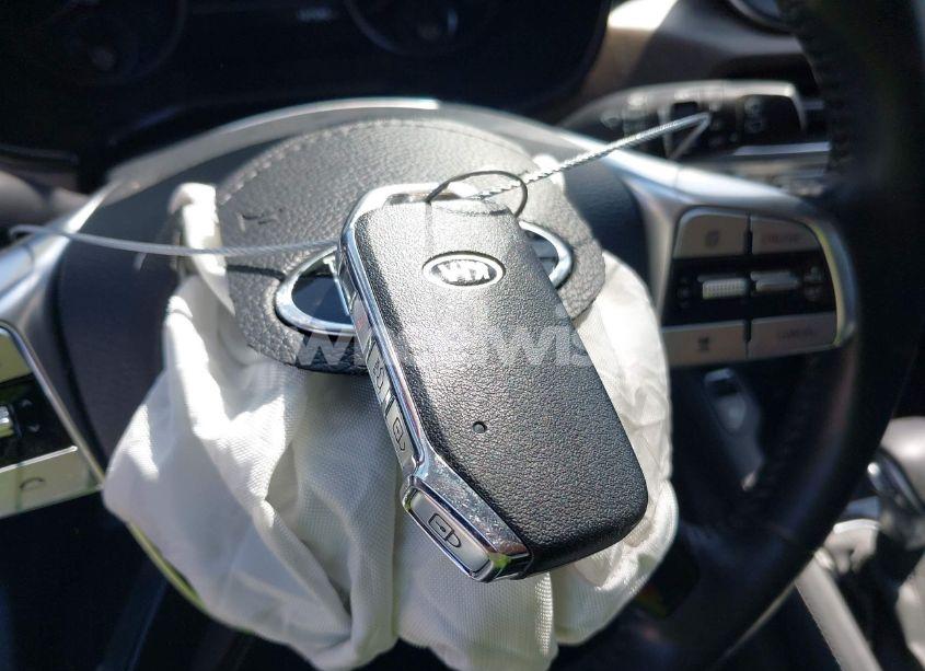 Photo 11 of 2020 Kia Telluride SX (VIN 5XYP54HC8LG075209)