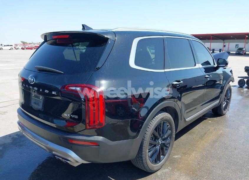 Photo 4 of 2020 Kia Telluride SX (VIN 5XYP54HC8LG075209)
