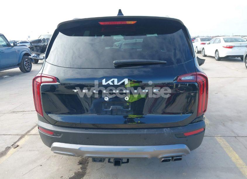Photo 16 of 2022 Kia Telluride SX (VIN 5XYP54HC8NG318696)