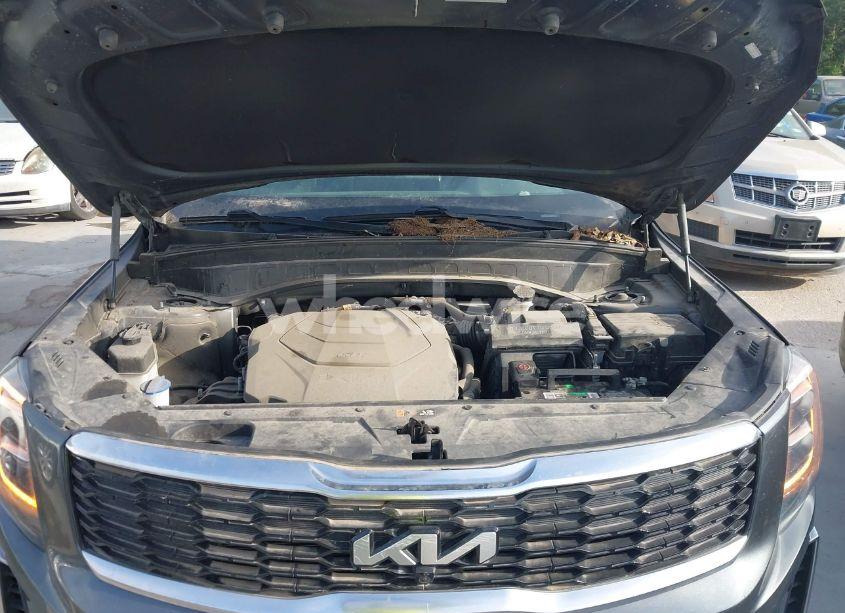 Photo 10 of 2022 Kia Telluride SX (VIN 5XYP54HCXNG215831)