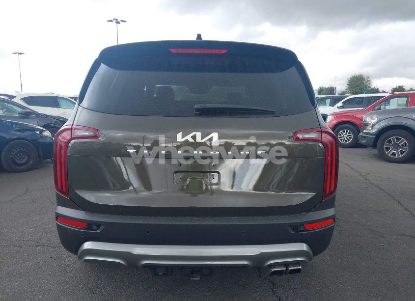 Photo 17 of 2022 Kia Telluride SX (VIN 5XYP54HCXNG242074)