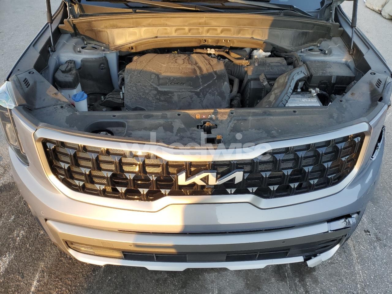Photo 12 of 2023 KIA TELLURIDE SX (VIN 5XYP5DGC0PG336131)