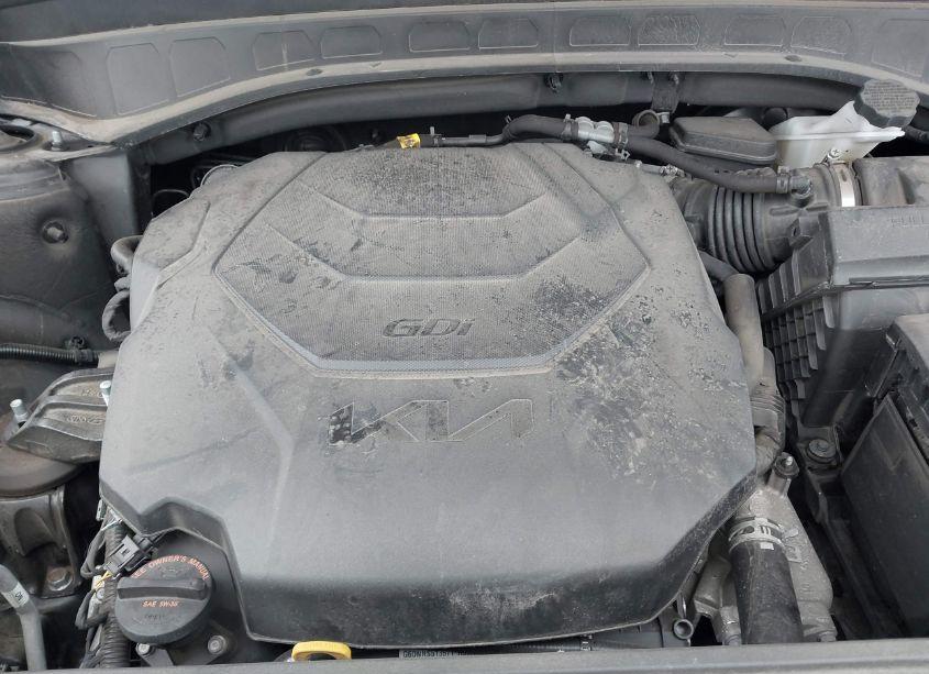 Photo 10 of 2023 Kia Telluride SX PRESTIGE (VIN 5XYP5DGC0PG341698)