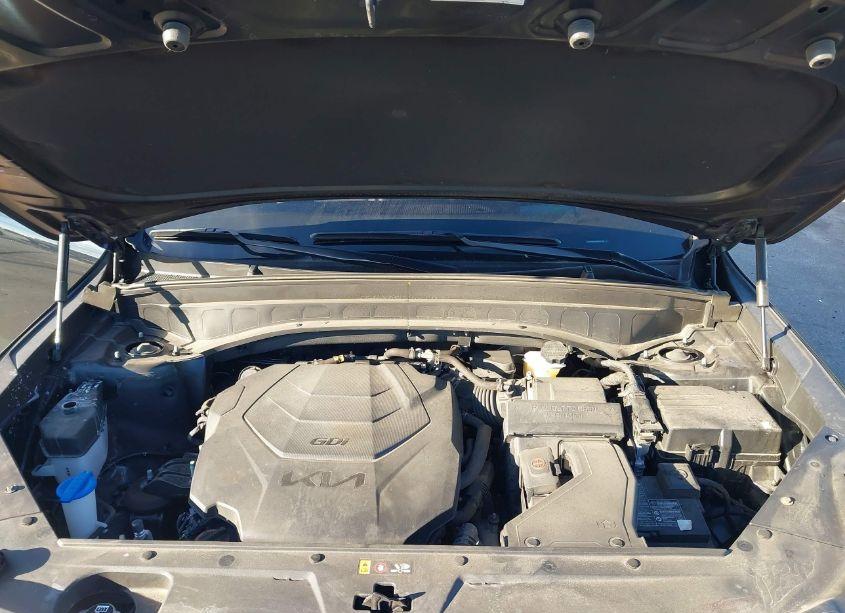 Photo 10 of 2023 Kia Telluride SX PRESTIGE (VIN 5XYP5DGC0PG357724)