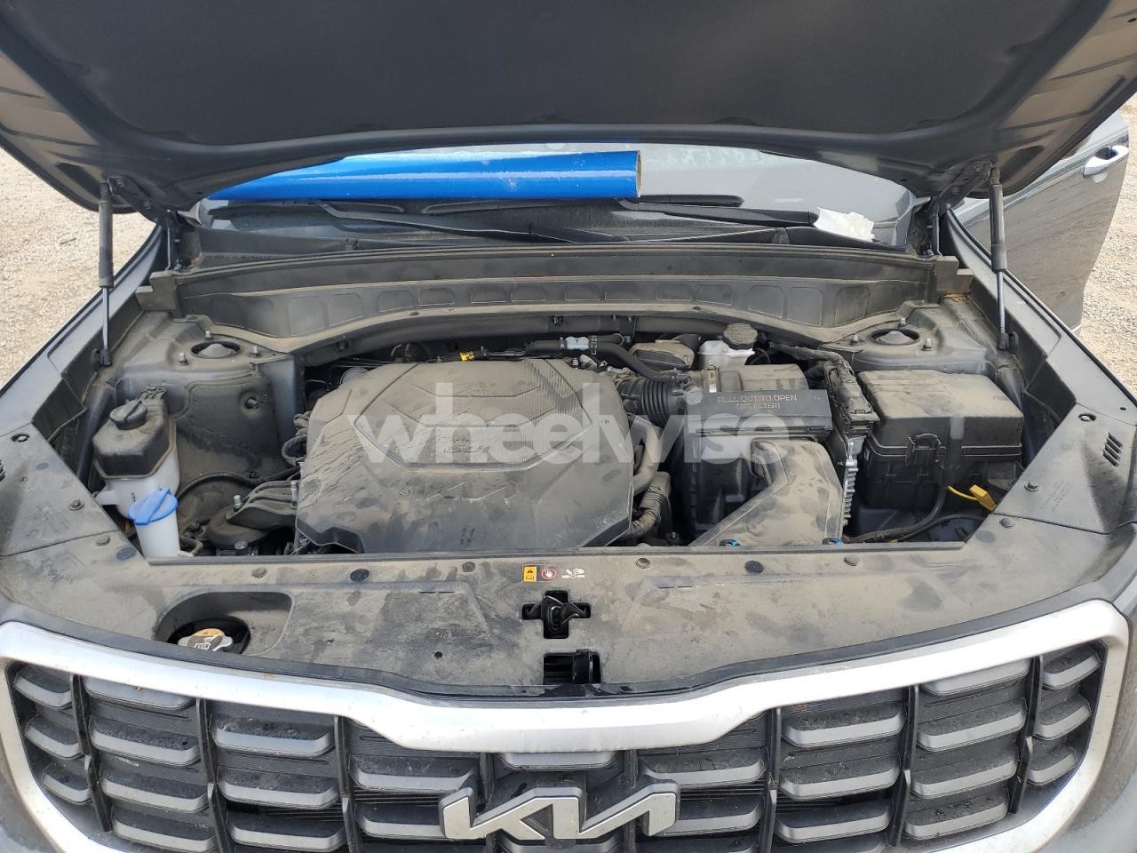 Photo 12 of 2024 KIA TELLURIDE SX (VIN 5XYP5DGC0RG441576)